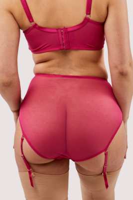 Lyra Pink Embroidered High Waisted Suspender Brief 