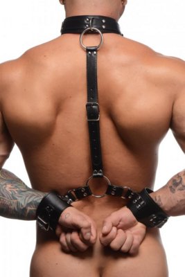 Neck to Wrist Restraints 