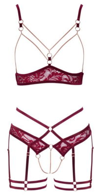 / Burgundy lace set