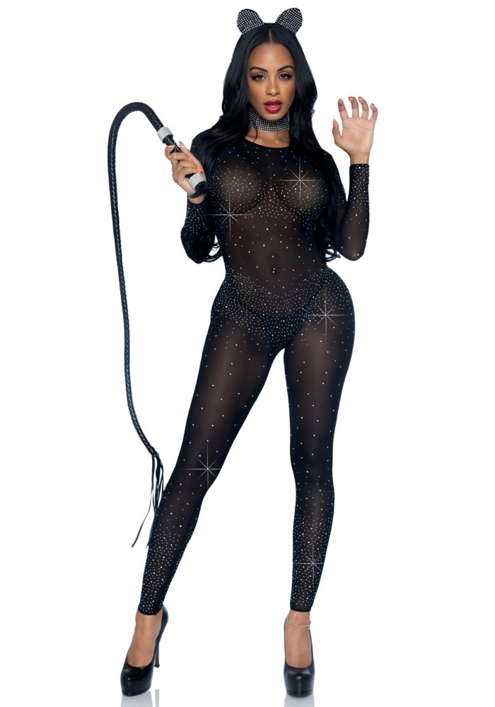 Sheer rhinestone catsuit  