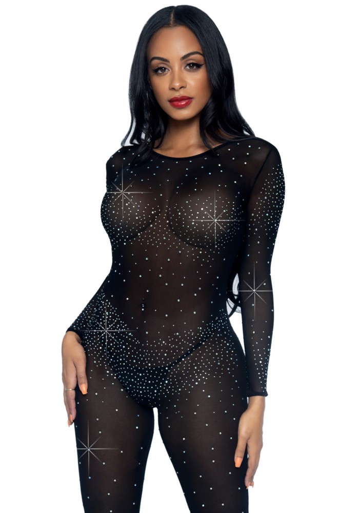 Sheer rhinestone catsuit  