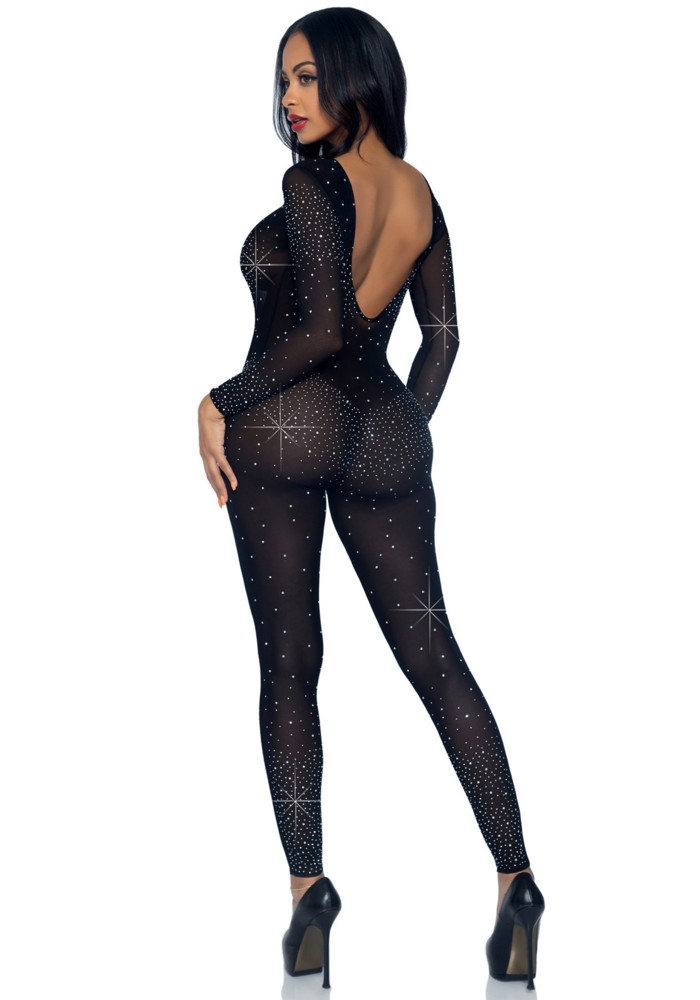 Sheer rhinestone catsuit  