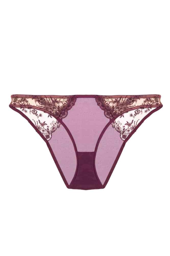 Cassia Wine  Closed Brief  