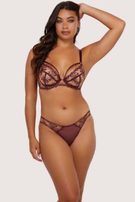 Cassia Wine  Closed Brief 