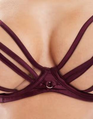 Ramona wine Mesh Bra 